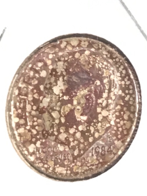 Coinberts-Odd-Dimeberts,-Pretty-Ugly-Roosevelts.-Any-Thoughts?