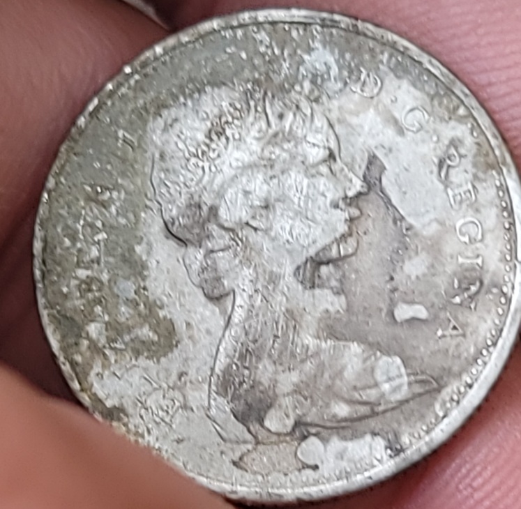1975-Strike-Error?-20x-Mag-Caribou-Under-Queen?-Queen-Under-Caribou?-Beak?