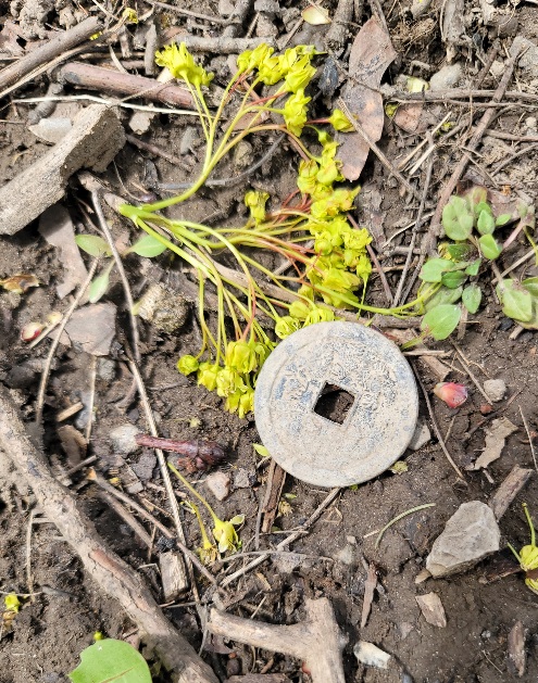 ID-Cash-Coin?-Lucky-Coin?-Modern-Fake?-What-Is-This?