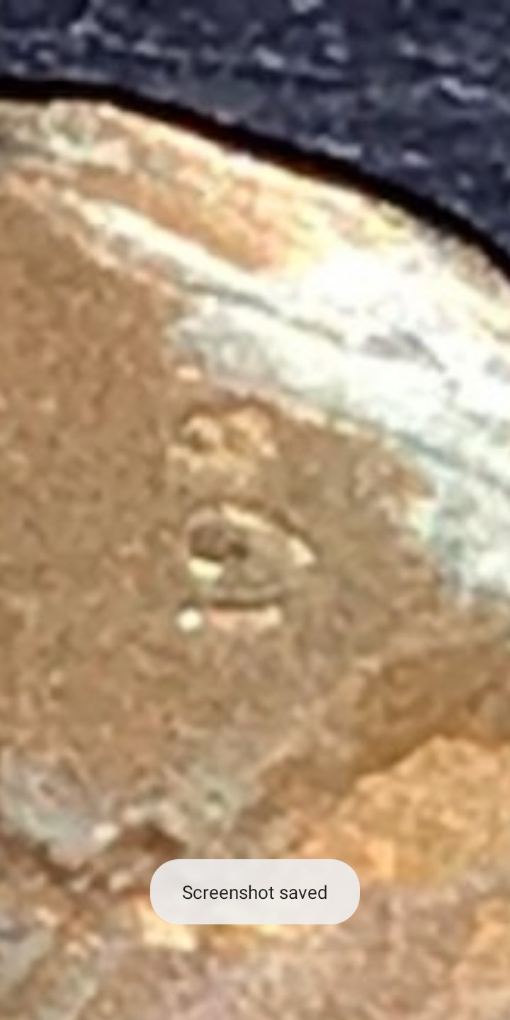 Possible-Copper-Transitional-Lincoln-198?