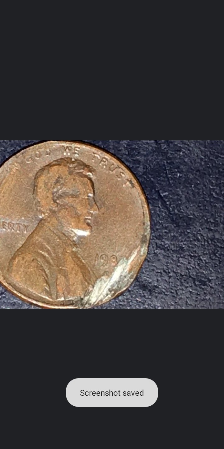 Possible-Copper-Transitional-Lincoln-198?