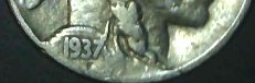 1937-D-Buffalo-Nickel.-Looks-Like-DDR?