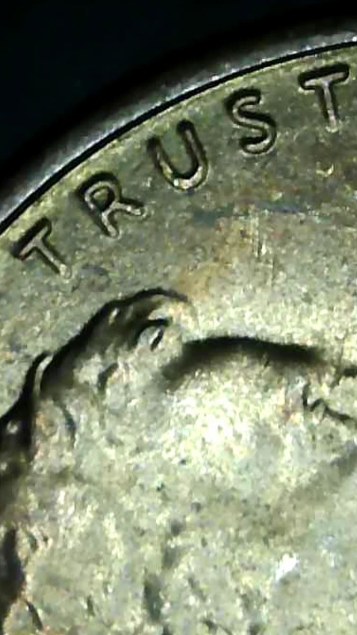 2019-LSC.-Double-Die-Plus?