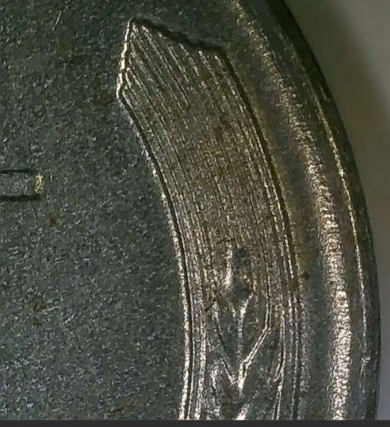 New-Member-From-Louisiana-Amazingly-Odd-Find-Last-Night-I-Think.