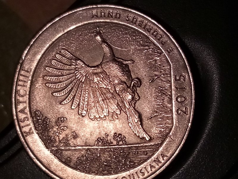 2015-Kisatche-Louisiana-State-Quarter-Errors?ddo,-Die-Crack-On-Top-Of-Head?
