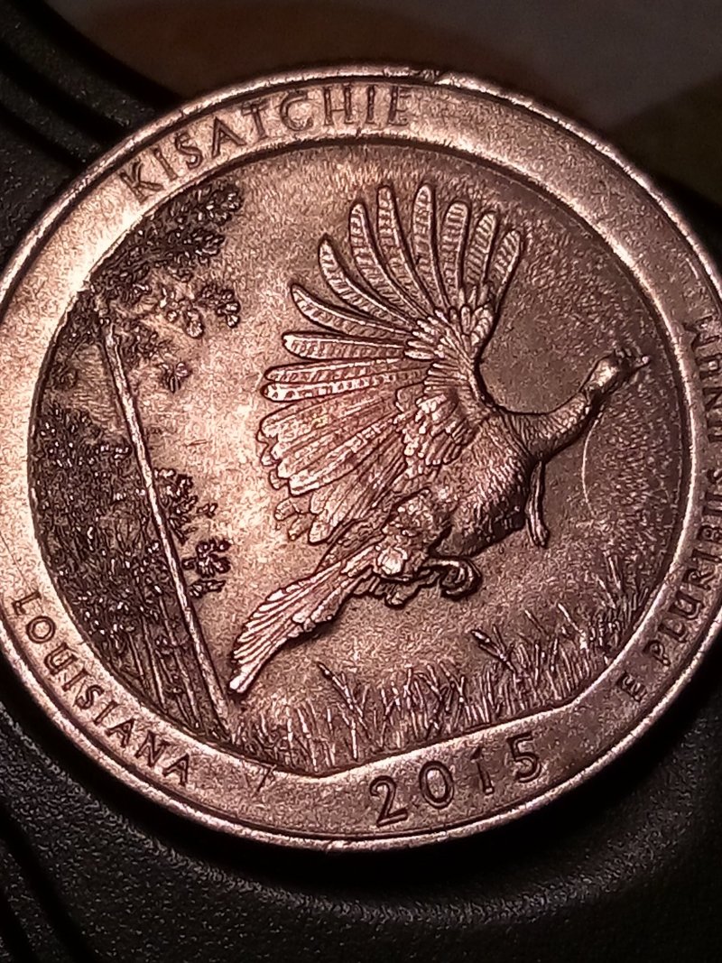 2015-Kisatche-Louisiana-State-Quarter-Errors?ddo,-Die-Crack-On-Top-Of-Head?