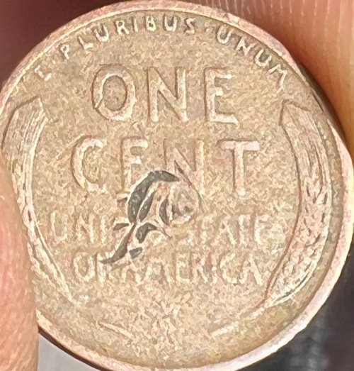 1909-Wheat-Penny-Error