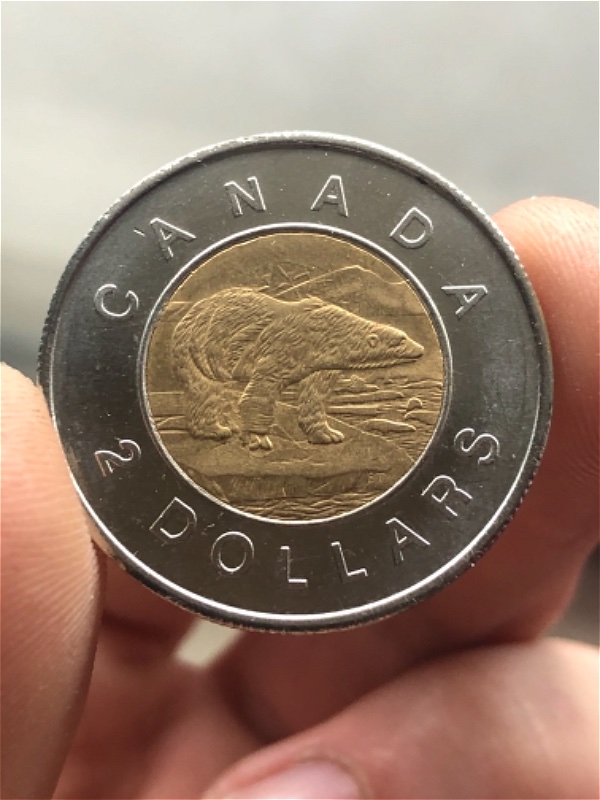 Counterfeit-Toonies-Are-Going-To-Be-A-Significant-Problem