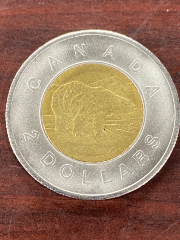 Counterfeit-Toonies-Are-Going-To-Be-A-Significant-Problem
