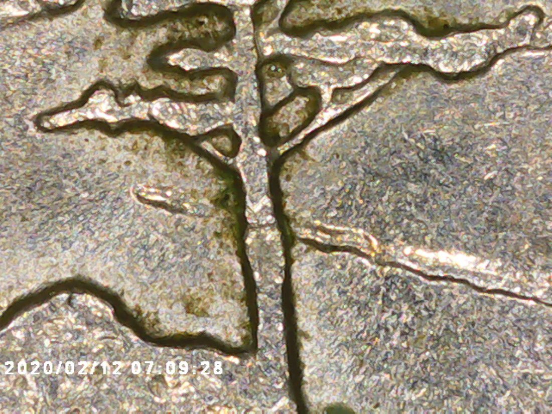 2005-P-Nickel-Errors-Or-Damage?