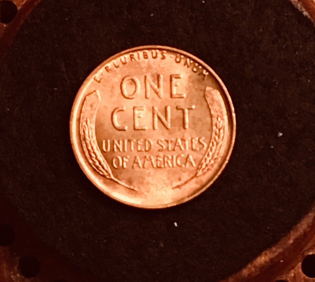 What-I-Plucked-From-My-Change-Back-From-Grocery-Shopping-Today-Lwc.