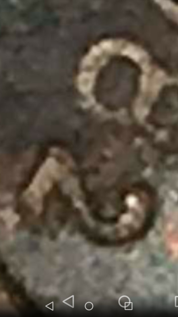 Possible-Small-Date-1982-D-LMC?