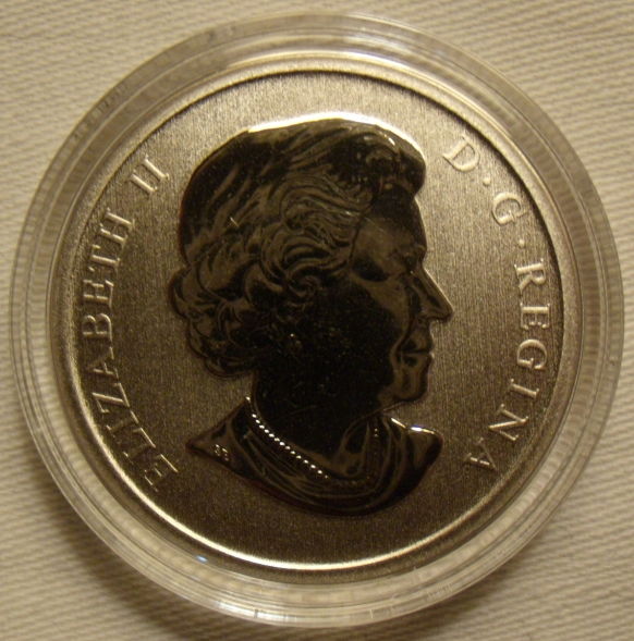 Post-Your-Coins-Representing-The-Animal-Kingdom.