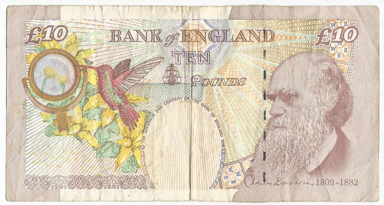 Women-On-Banknotes