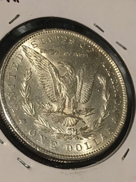 The-Colonel's-Morgans