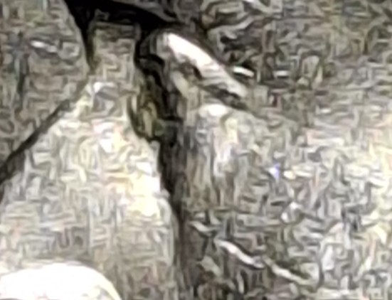 1974-D-Jefferson-Nickel