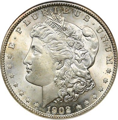1902-O-Morgan-...-You-Vs.-ANACS-Small-Older-Holder