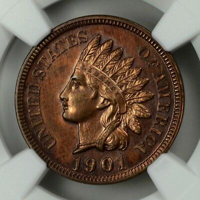 1901-Indian-Head-Cent-...-You-Vs-NGC