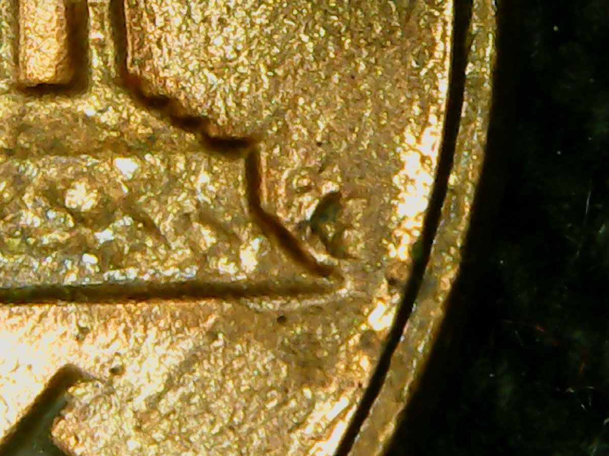 1982-D-Small-Date-Cent-Gah-Forbid-Me-To-Say-It's-Doubling-On-The-Reverse