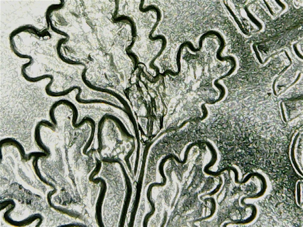 2017-P-Roosevelt-Dime-With-Some-Nice-Die-Chips/Cracks-On-Reverse.