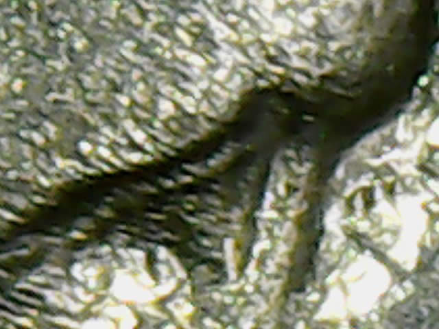 Eye-Candy-Corner:-Post-Your-Toned-Coins!