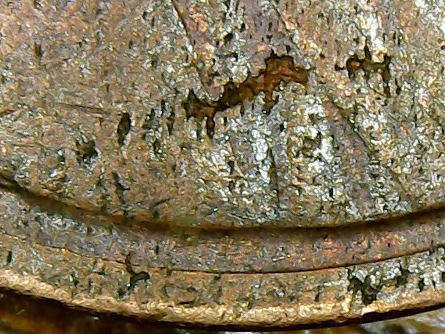 1977-Lincoln-Memorial-Cent-Weighs-Approximately-2.5-Grams!