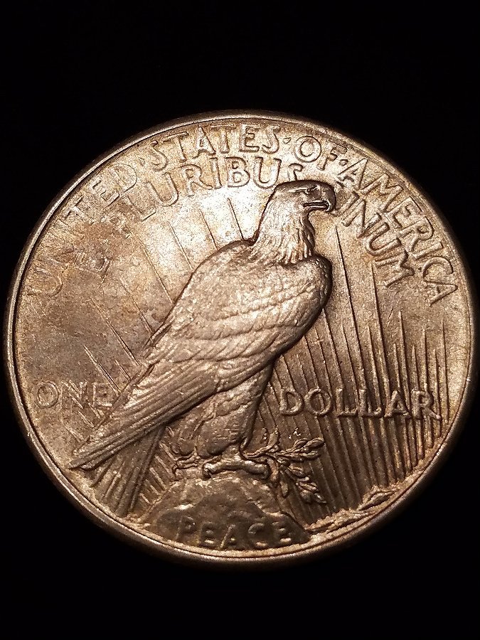 Seeking-Opinions-On-1925-P-Peace-Dollar-For-Condition-And-DD-Potential-Re