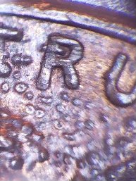 Grotesquely-Deformed-,-But-Remarkably--Well-Preserved-1983-P-LMC