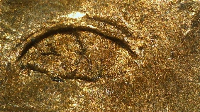 2000-P-Dollar-Coin-Die-Chip-In-Side-Eye
