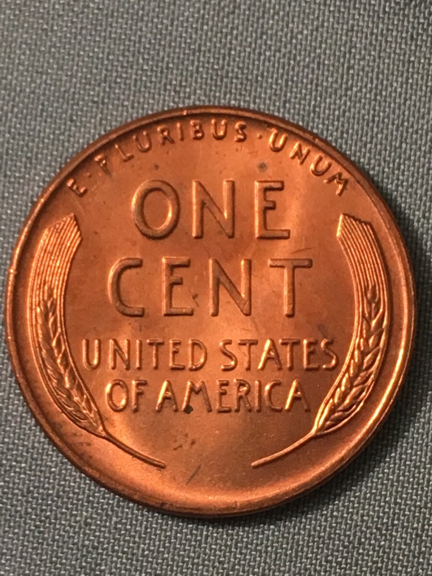 1958-Wheat-For-Grading