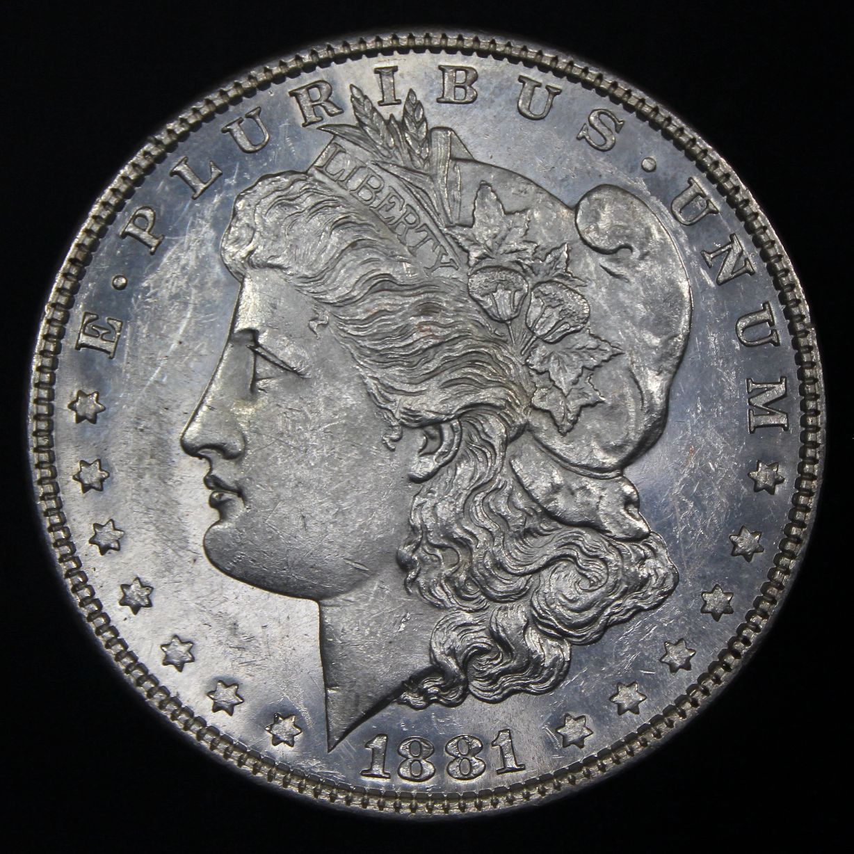The-28-Days-Of-Morgan-Dollars-Part-4