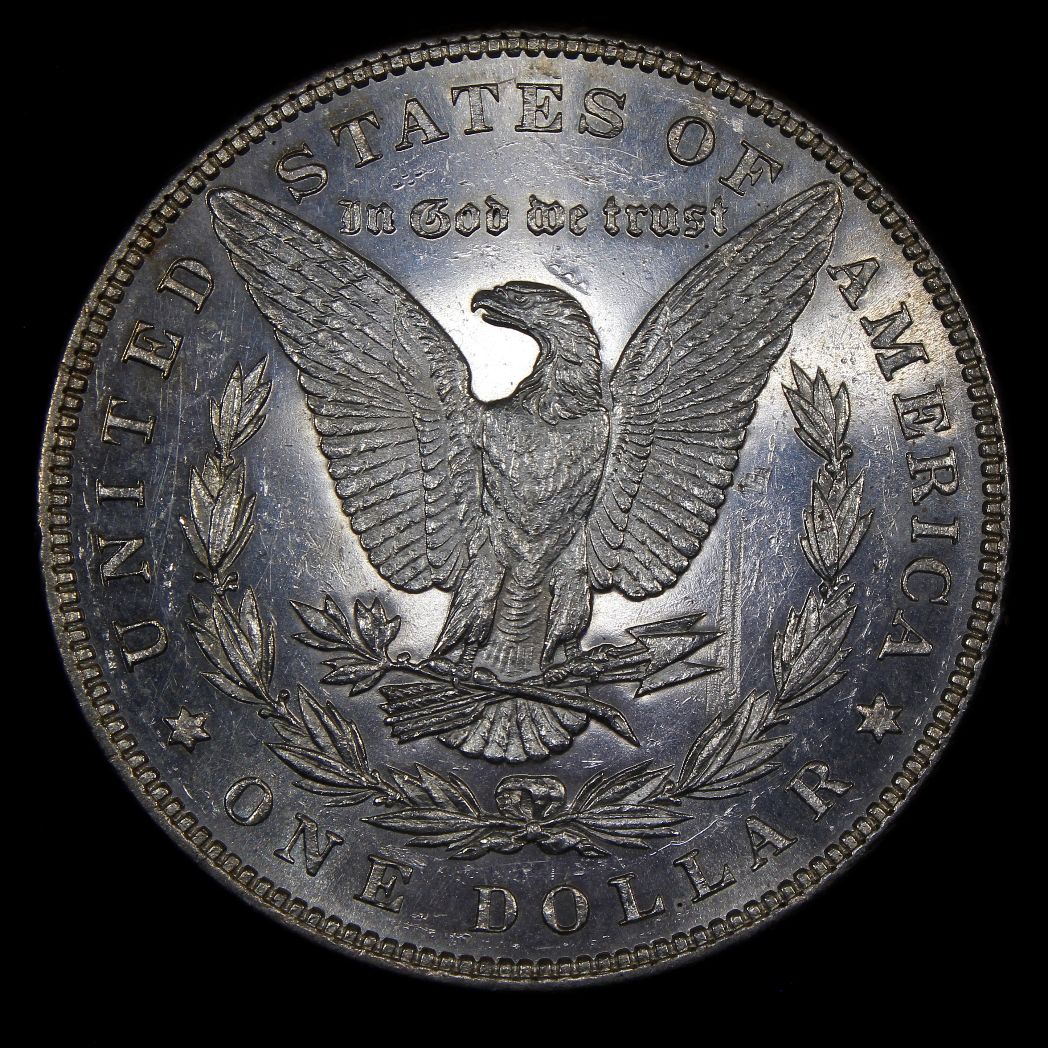 The-28-Days-Of-Morgan-Dollars-Part-4