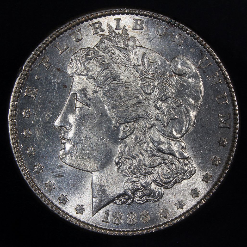The-28-Days-Of-Morgan-Dollars-Part-4