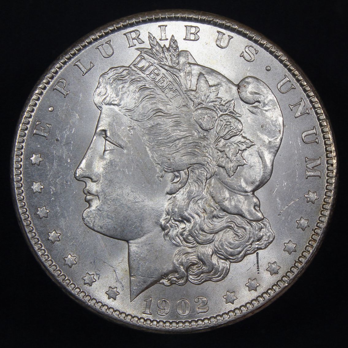 The-28-Days-Of-Morgan-Dollars-Part-4