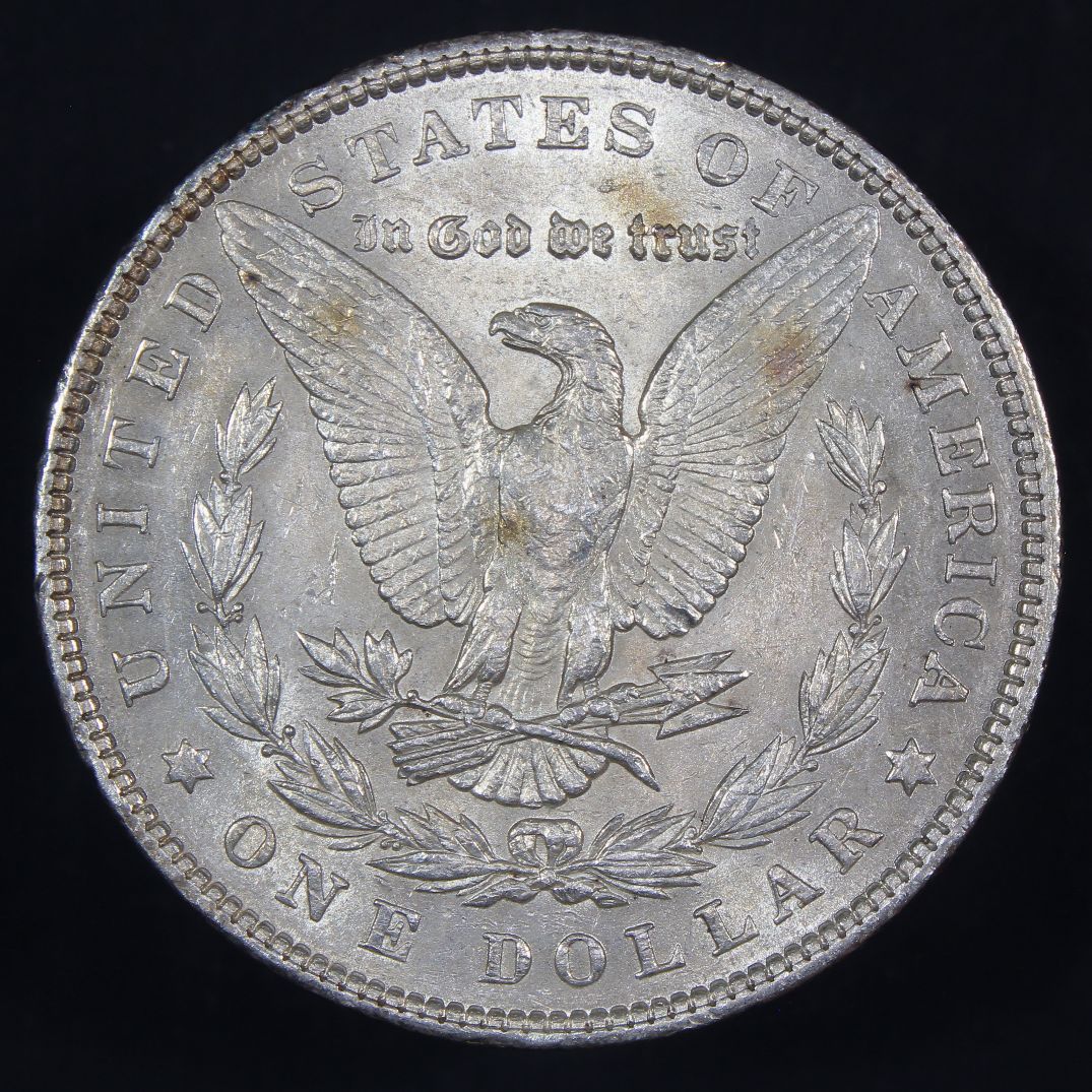 The-28-Days-Of-Morgan-Dollars-Part-4