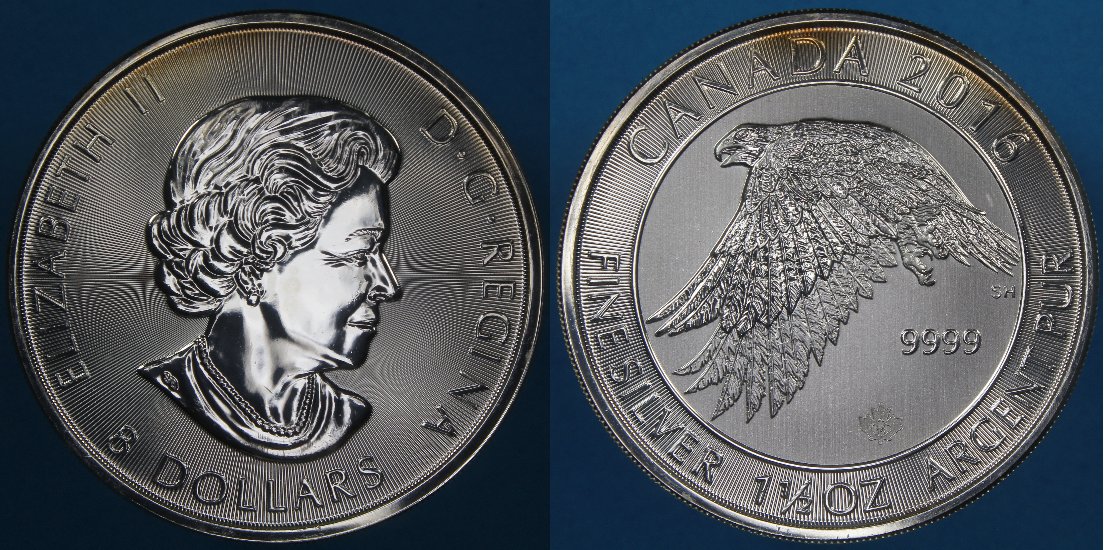 Post-Your-Coins-Representing-The-Animal-Kingdom.