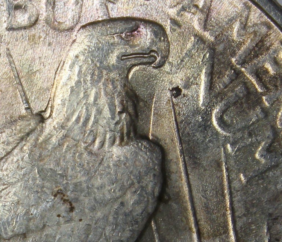 1922-Peace-Dollar-B1-Reverse-VAM-Help