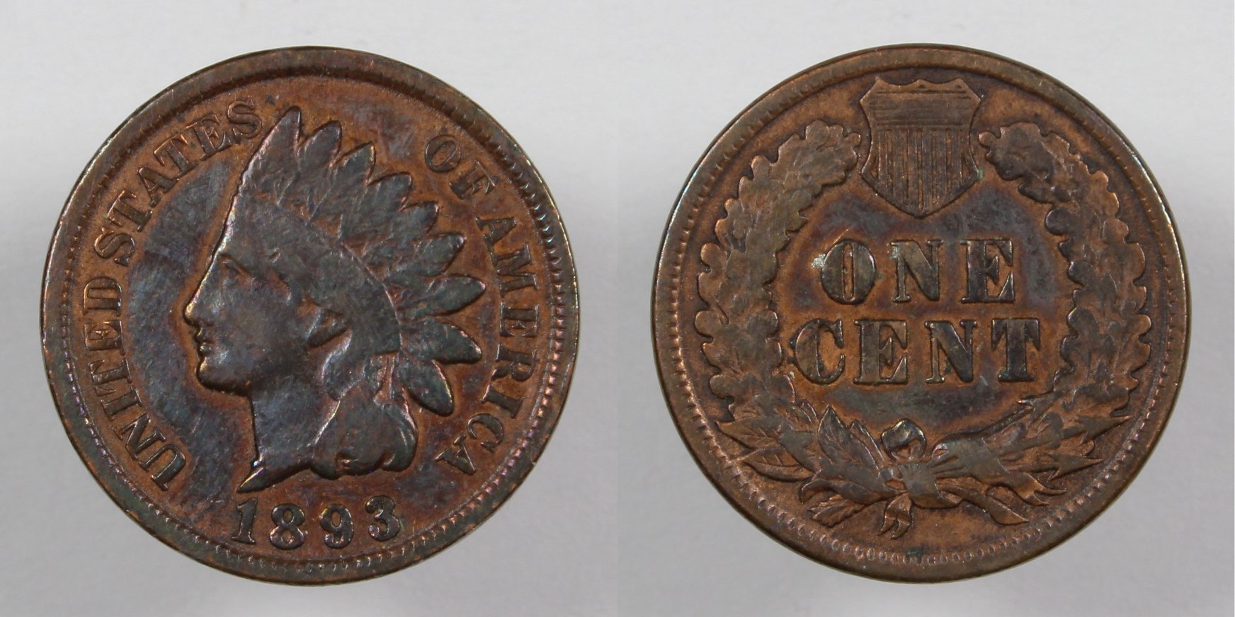 51-Days-Of-Flying-Eagle-And-Indian-Head-Cents!---Part-4!!