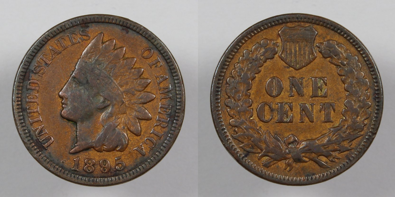 51-Days-Of-Flying-Eagle-And-Indian-Head-Cents!---Part-4!!