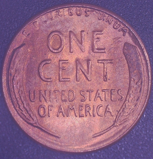 1955-P-LWC-Potential-WDDO-003