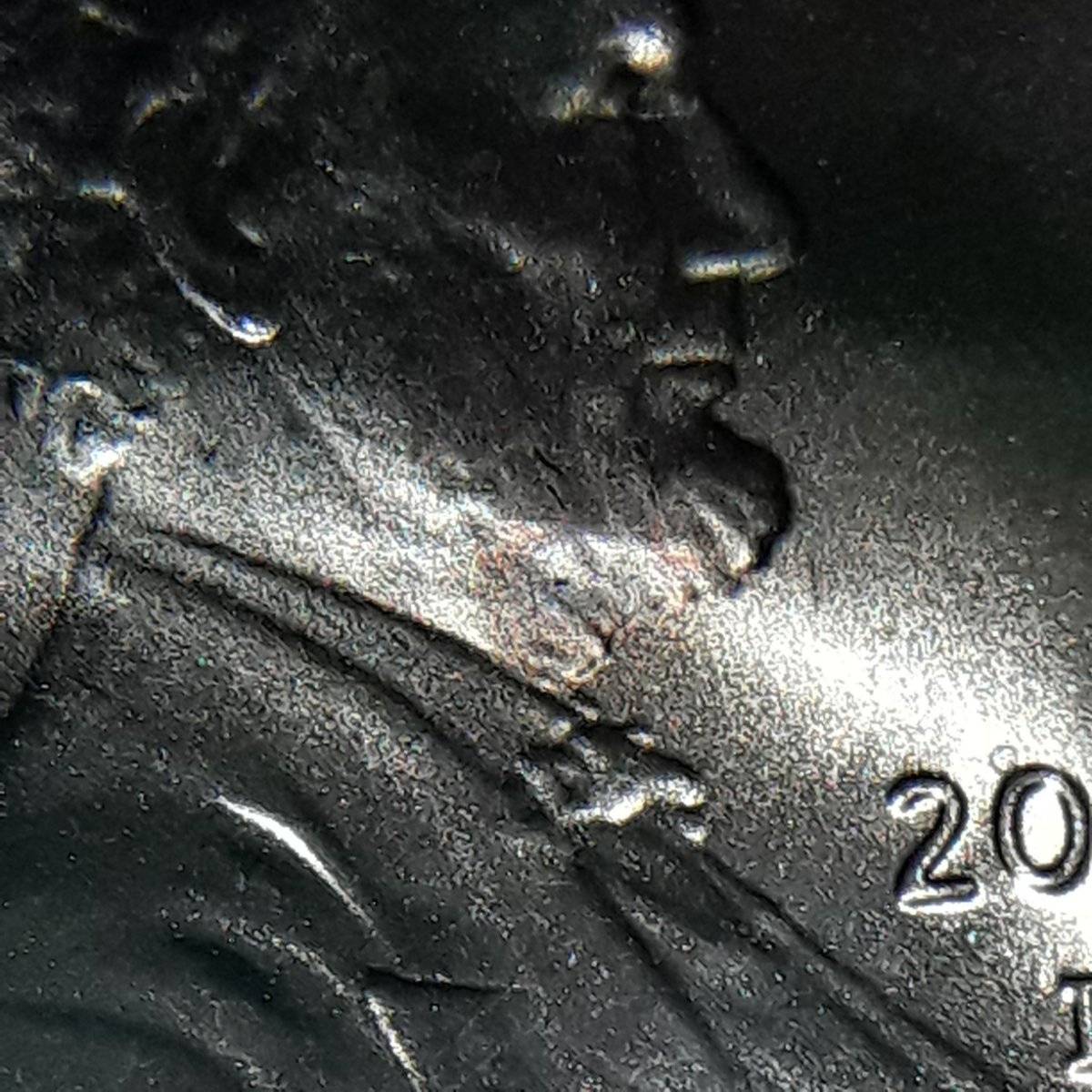 2019-D-LSC-Take-A-Look