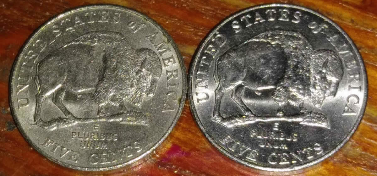 2-2005-P-Buffalo-Nickels