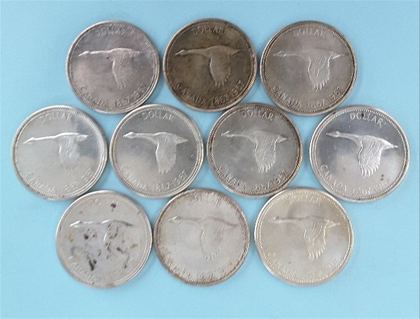 The-31-Days-Of-Canadian-Silver-Dollars