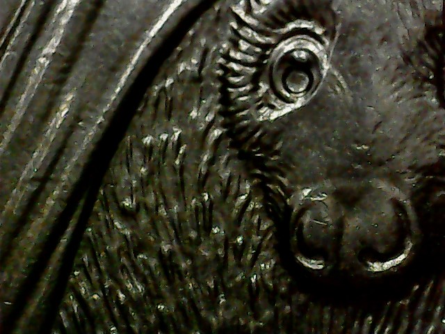 2020-Washington-Samoa-Fruit-Bat-Quarter-Die-Breaks,-Doubling,-&-Other-Errors