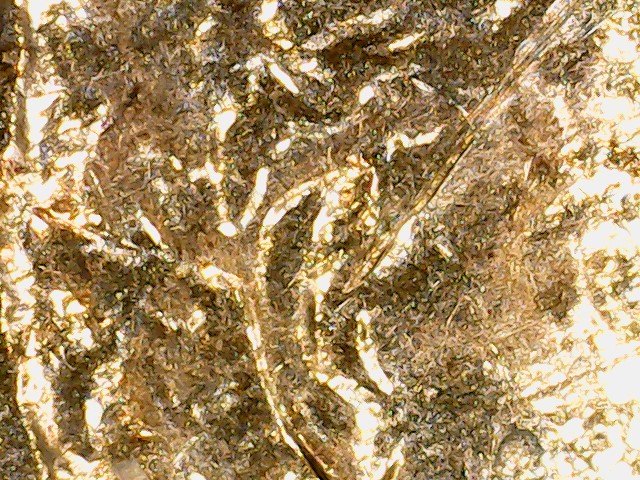 2012-Lincoln-D-Shield-Penny-Obverse-Lamination?