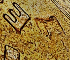 1995-Lincoln-D-Large-Die-Chip-Reverse