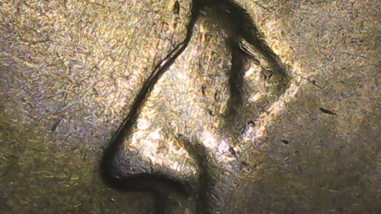 1965-Washington-Quarter-DDO-FS-101