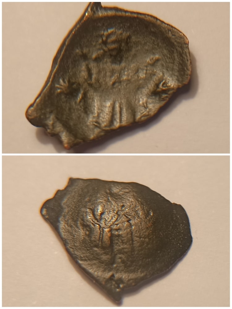 Very-Small-Trachy-To-ID