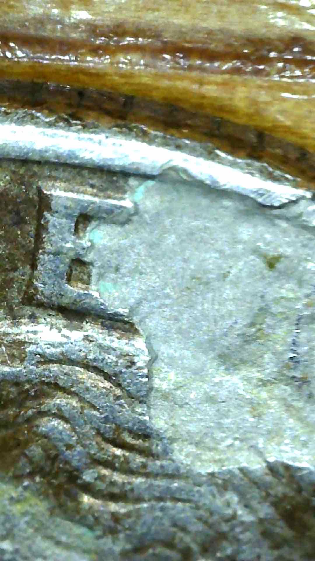 1995-Quarter---What's-Going-On-With-This-Coin?