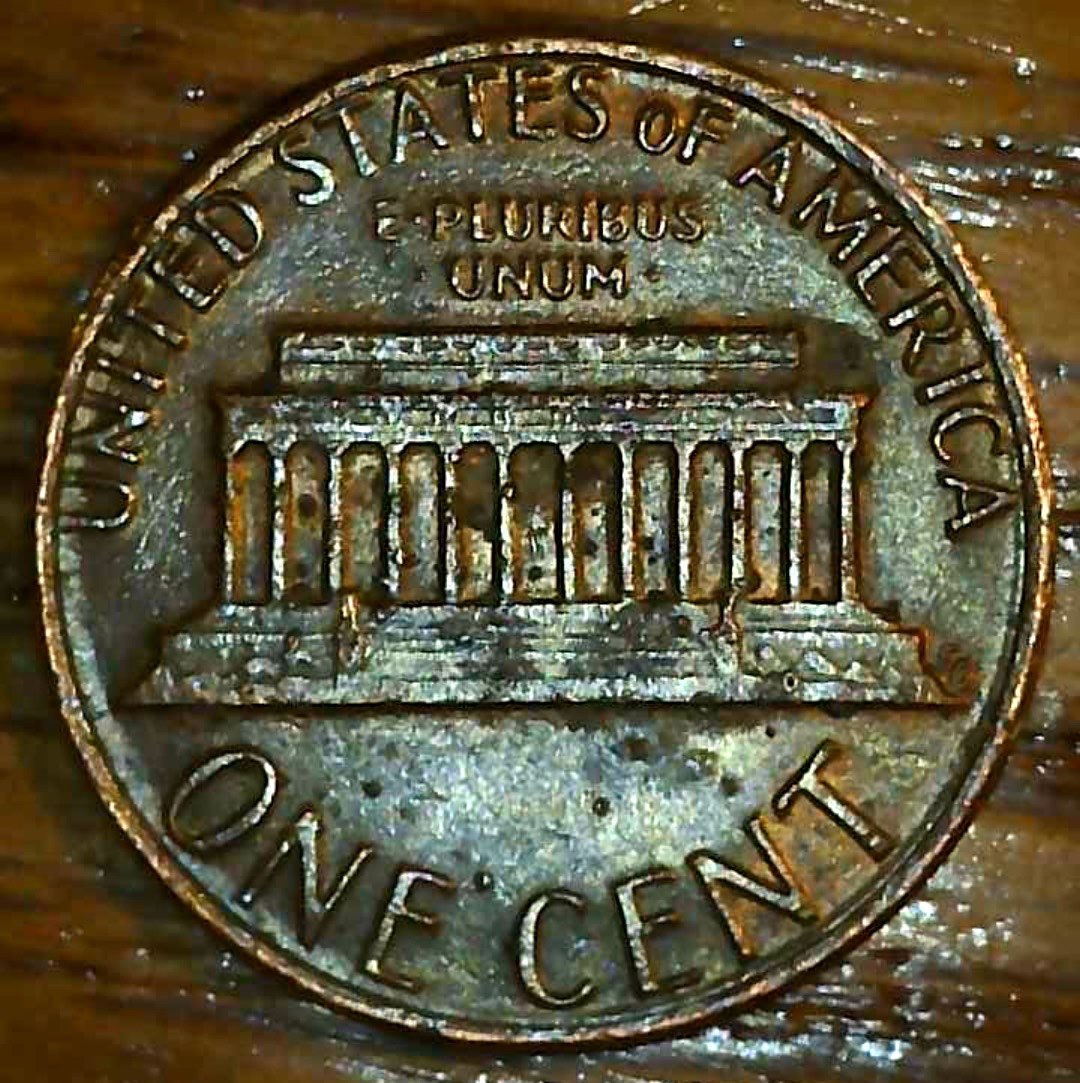 1982-Penny---Possible-Collar-Issue-?